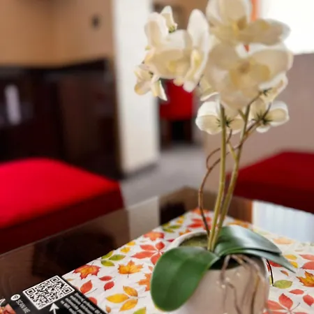 Aroma 2 *